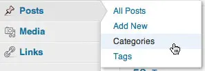 Changing Default Category in WordPress