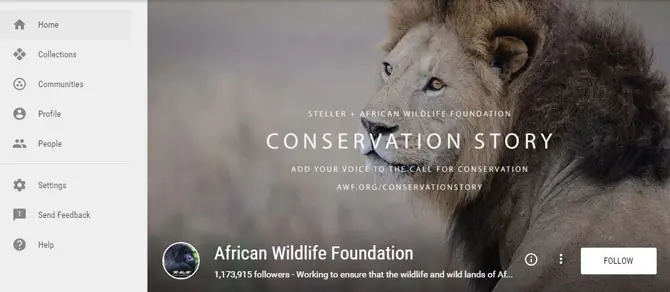 African Wildlife Foundation Google+