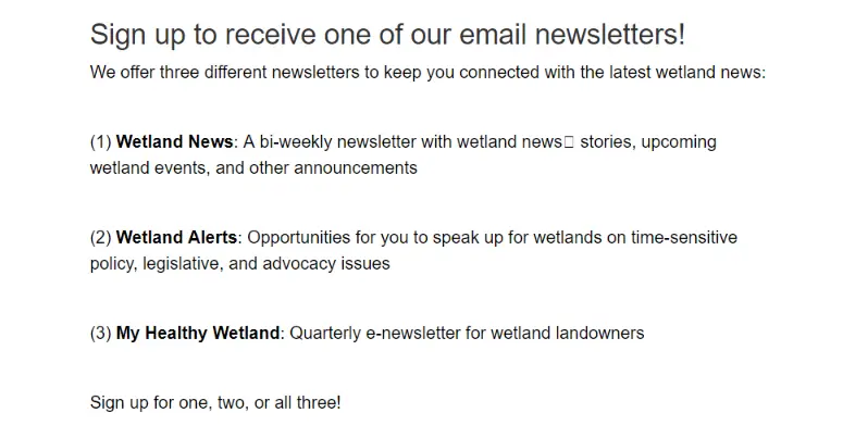 newsletter names examples