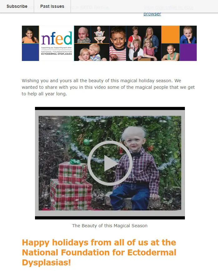 NFED Happy Holidays Email