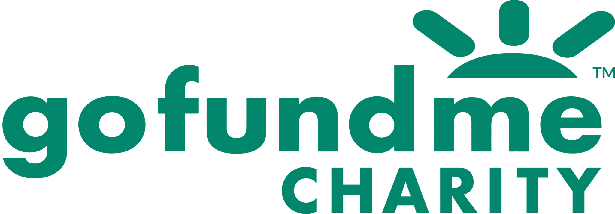 Image showcasing GoFundMe for Nonprofits: What You Should Know