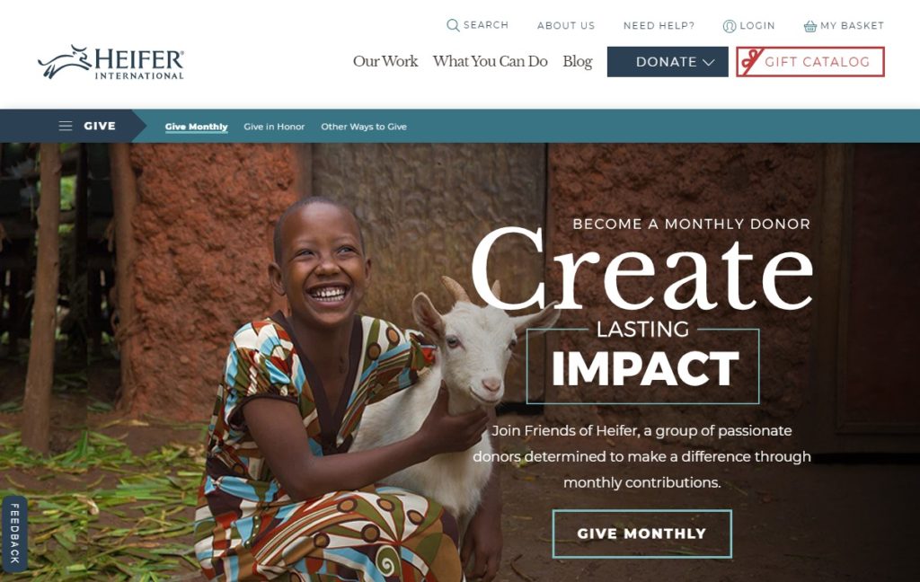 10 Great Nonprofit Donation Pages [Updated for 2020] - Wired Impact