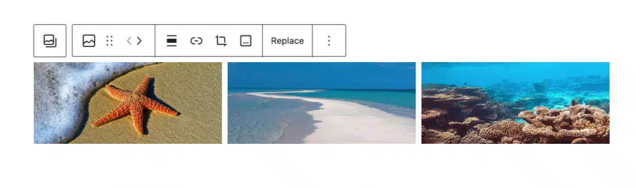A screenshot of the gallery block