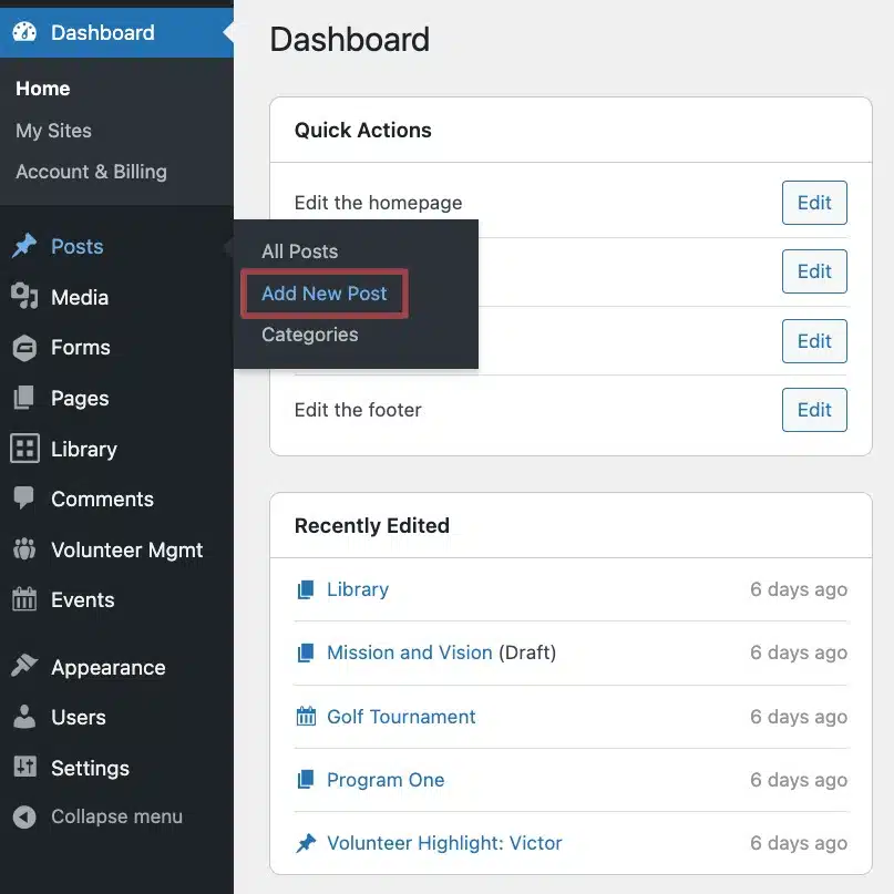 A screenshot showing the left sidebar, highlighting the "Posts" section