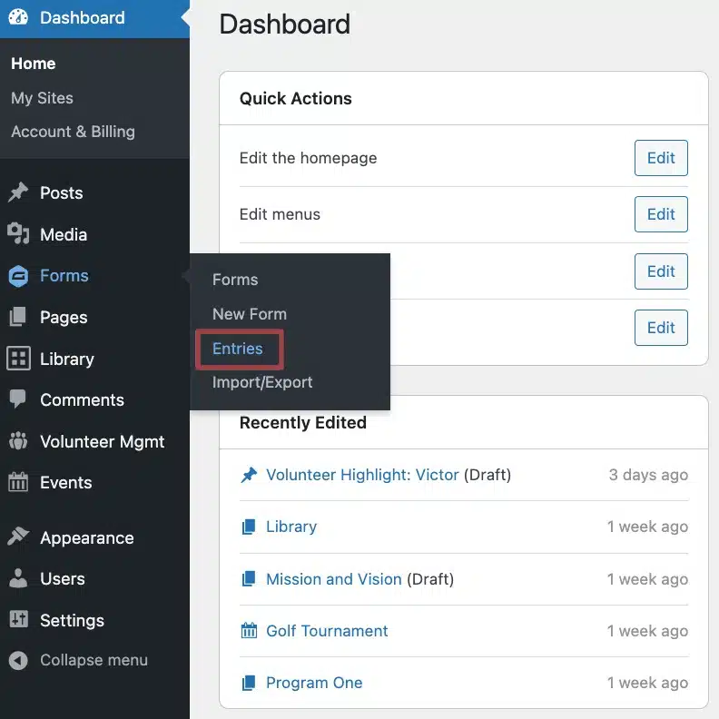 A screenshot demonstrating how to view form entries in the back end of a website
