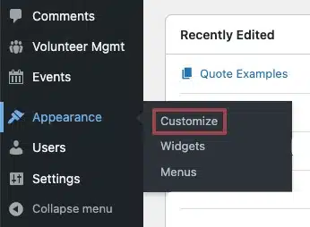 A screenshot of the Appearance Section in the admin menu, highlighting the Customize subsection in the back end of a website.