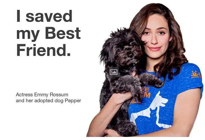 Emmy Rossum and her rescued dog for Best Friends Animal Shelter