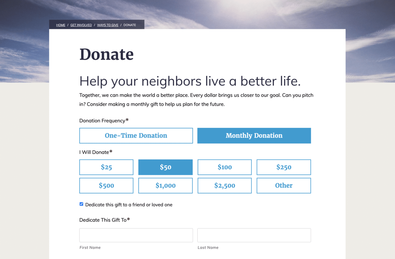Screenshot of the Donate page on the Vision theme