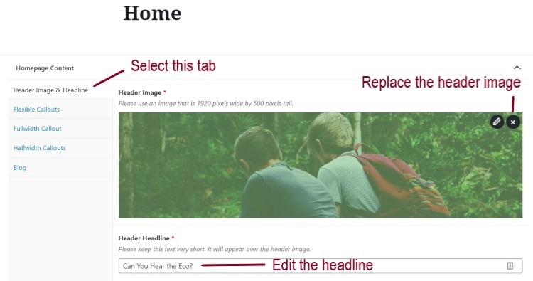 A screenshot of the Chroma theme home page in the backend of a website, highlighting the Header Image and Headline Section