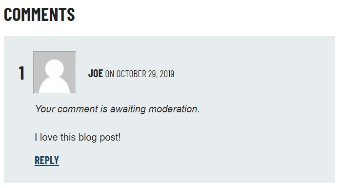 A screenshot of a comment in the front end of a website at the bottom of the post page