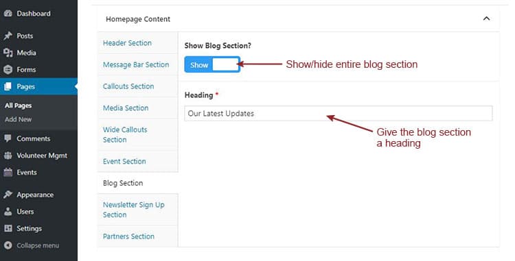 A screenshot of the Scholar theme home page in the backend of a website, highlighting the Blog Section