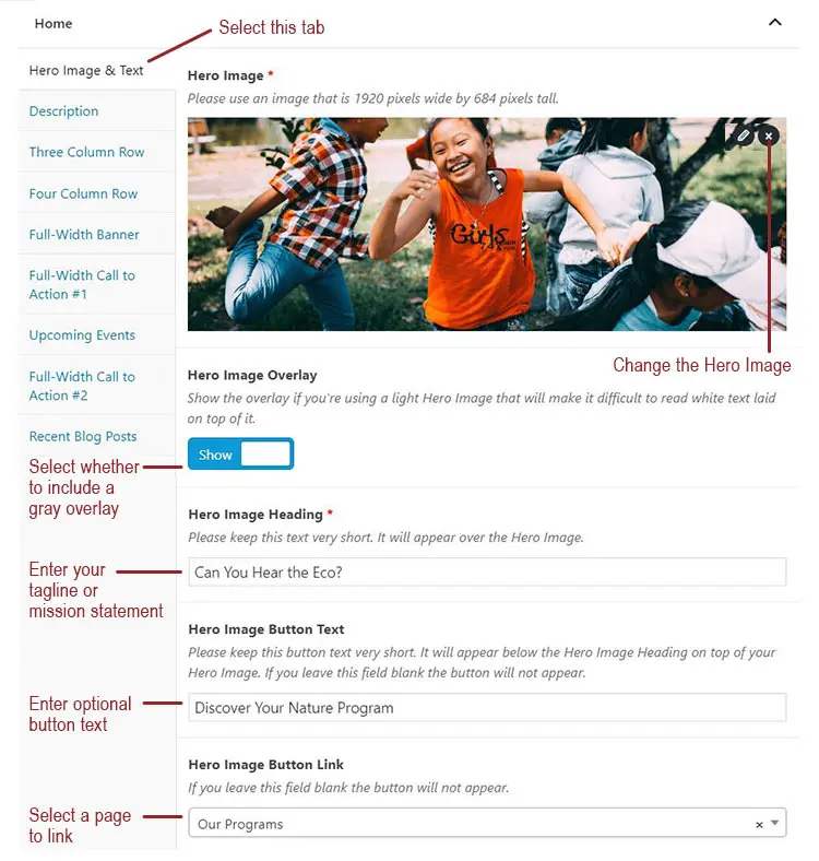 A screenshot of the Airy theme home page in the backend of a website, highlighting the Hero Image and Text Section form field.