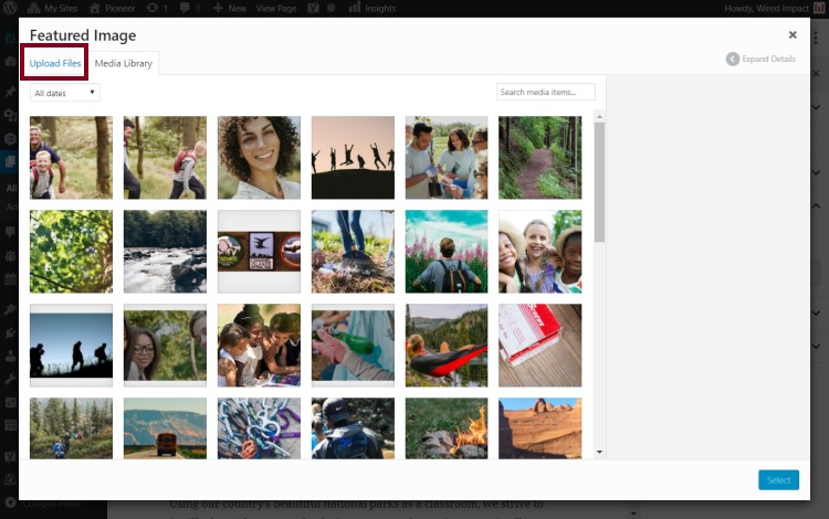 A screenshot of a media library highlighting the Upload Files link in the upper left of the screen