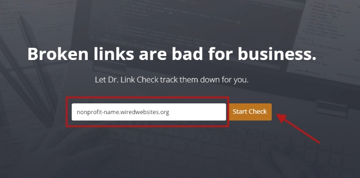 A screenshot of the Dr. Link Check tab search page highlighting the website URL field and the Start Check button