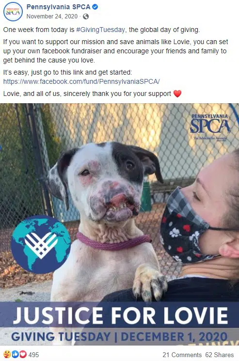 Screenshot of a PSPCA Facebook post encouraging new fundraisers