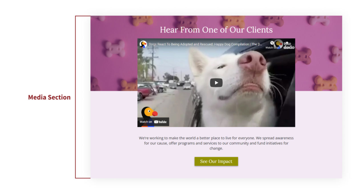 A screenshot of the Media Section in the homepage of the Scholar theme