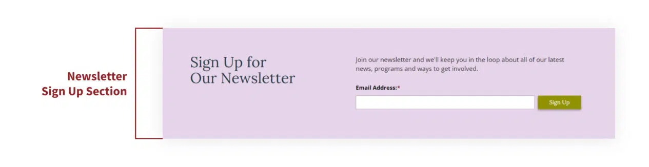 A screenshot of the Newsletter Sign Up Section in the homepage of the Scholar theme
