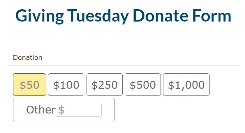 Screenshot of a Giving Tuesday Donation Form with no value proposition