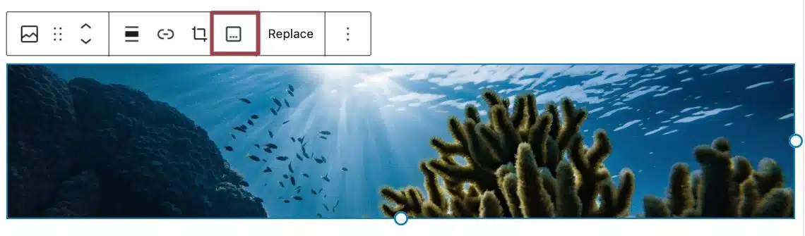 A screenshot of the caption button highlighted