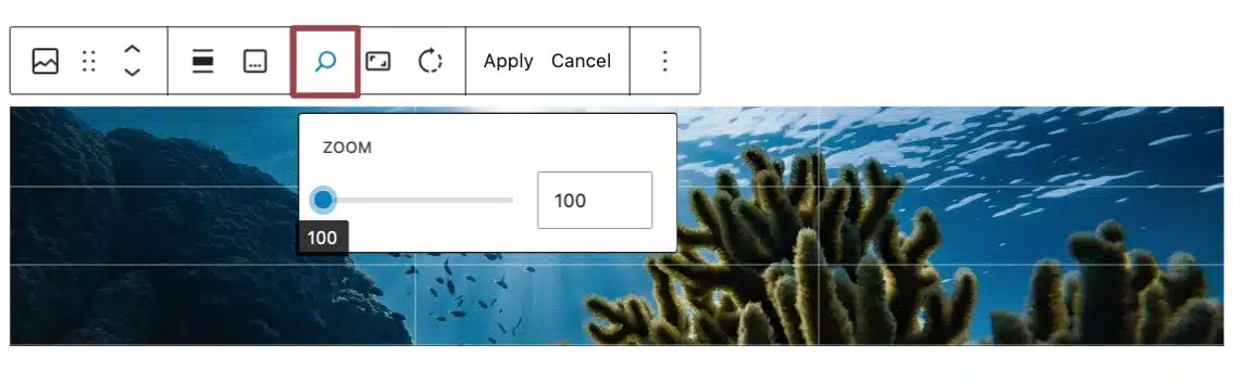 A screenshot of the image toolbar, highlighting the "zoom" icon, inside the "crop" menu.