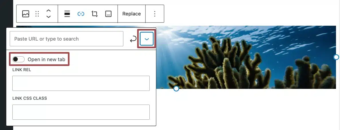 A screenshot of the image toolbar, highlighting the "Open in new tab" feature