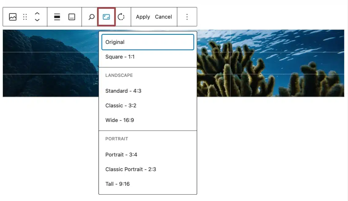 A screenshot of the image toolbar, highlighting the "aspect ratio" icon, inside the "crop" menu.