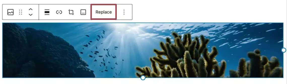 A screenshot of the image toolbar, highlighting the "replace" button.