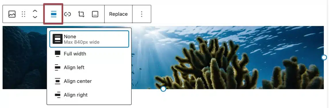 A screenshot of the different alignment options: none, full width, align left, align center, align right.