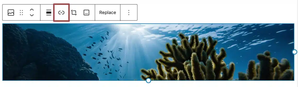 A screenshot of the image toolbar, highlighting the "insert link" icon.