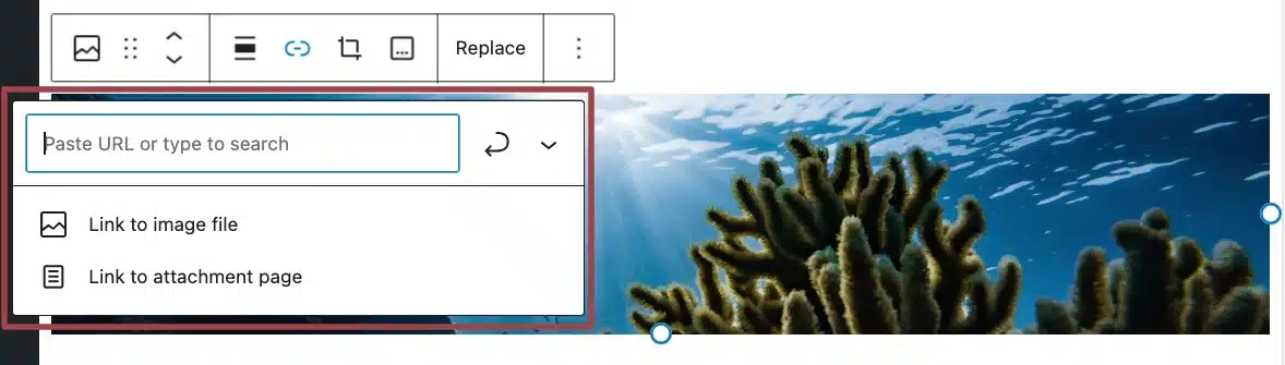 A screenshot of the image toolbar, highlighting the options for adding a link.