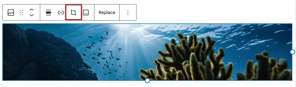 A screenshot of the image toolbar, highlighting the "crop" icon.