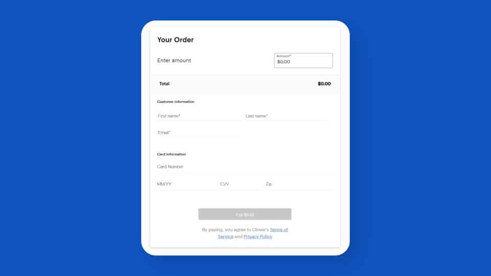 Screenshot of a generic, un-branded online payment form