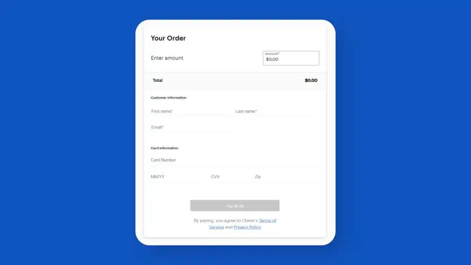Screenshot of a generic, un-branded online payment form
