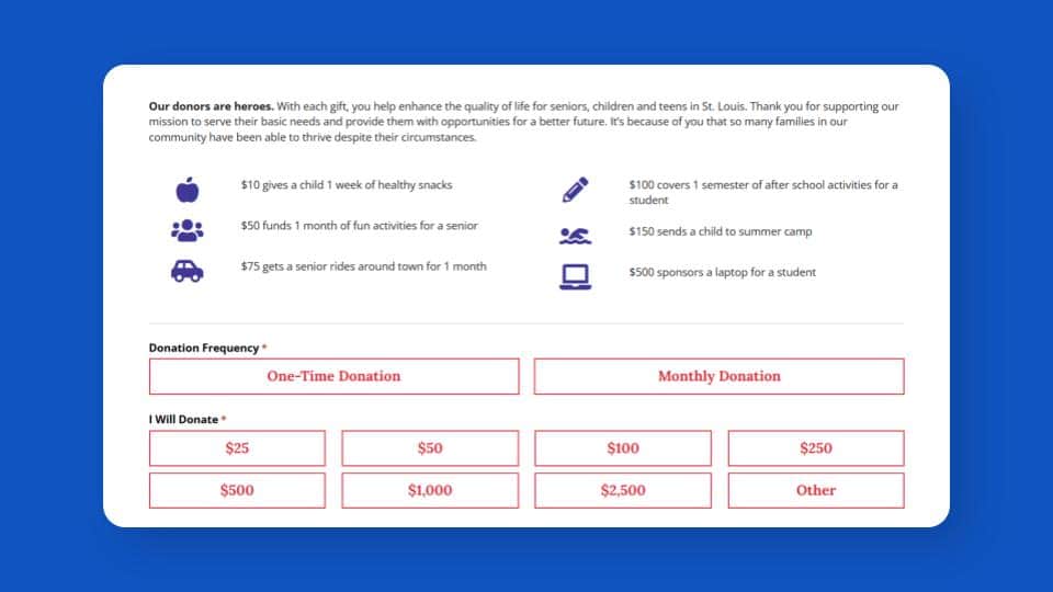 Screenshot of a Donate page with lots of giving levels listed. For example, $10 gives a child one week of healthy snacks. $75 gives a senior rides around town for a month. $150 sends a child to summer camp.