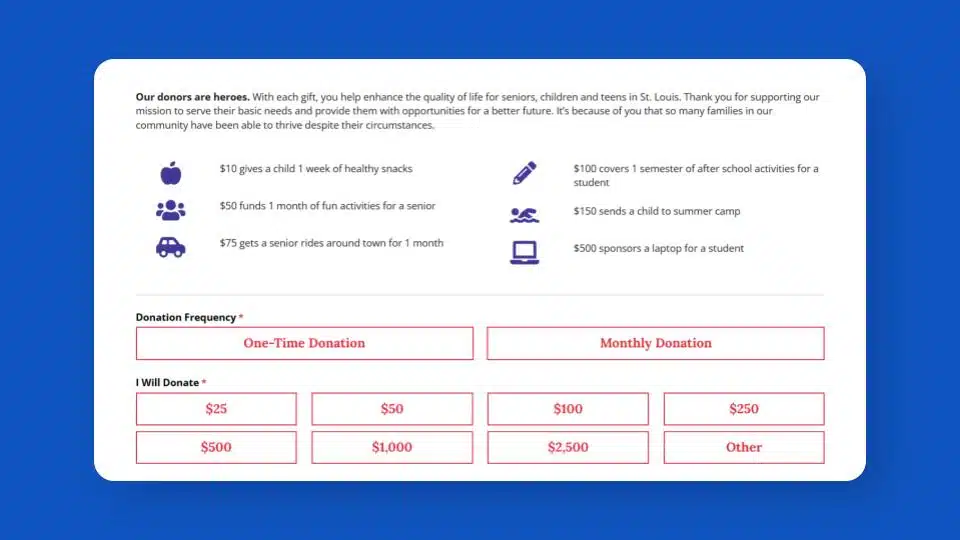 Screenshot of a Donate page with lots of giving levels listed. For example, $10 gives a child one week of healthy snacks. $75 gives a senior rides around town for a month. $150 sends a child to summer camp.