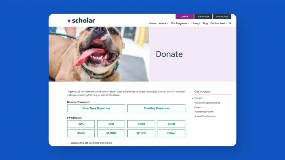 Screenshot of a Donate page with the sidebar navigation enabled