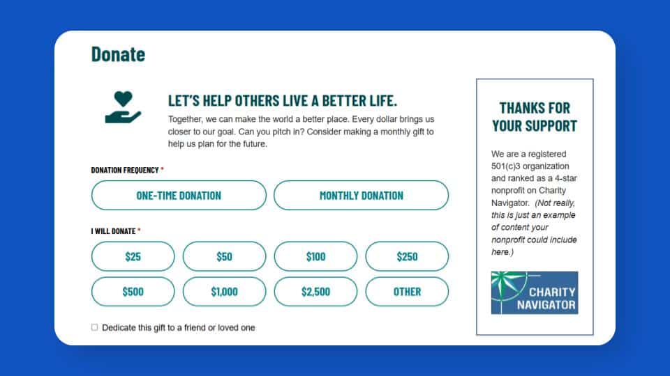 Screenshot of a well formatted online donation form. Similar fields are grouped together and styled nicely, making the form look inviting and easy to complete.