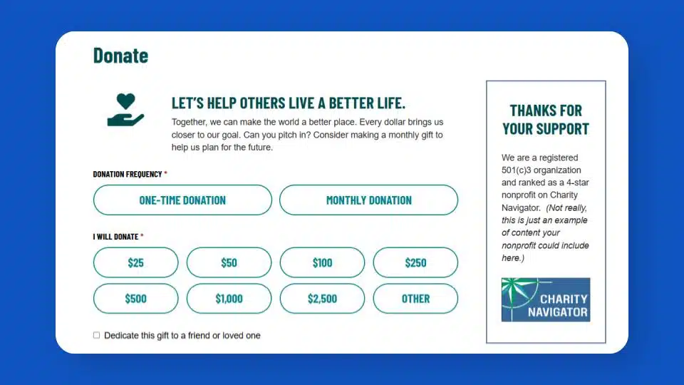 Screenshot of a well formatted online donation form. Similar fields are grouped together and styled nicely, making the form look inviting and easy to complete.